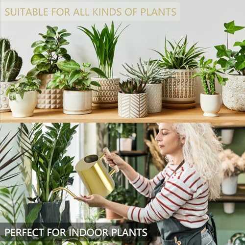 Watering Can Indoor Plants, 35oz Small Stainless Steel Metal Watering Can Modern Decorative Watering Pot with Long Spout for Indoor House Plant Bonsai Garden Flowers (Gold) - Image 4