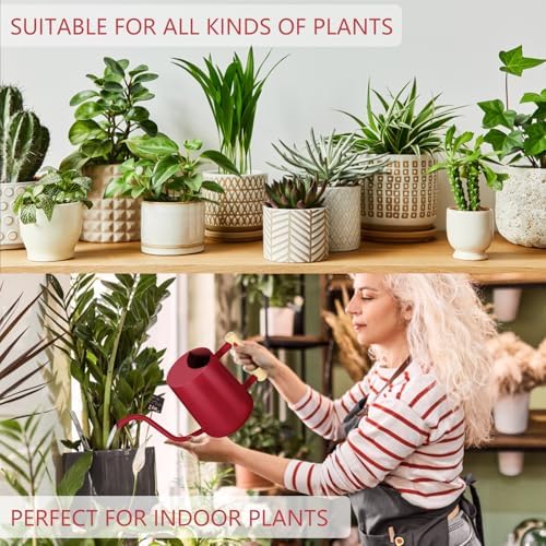 Watering Can Indoor Plants, 35oz Small Stainless Steel Metal Watering Can Modern Decorative Watering Pot with Long Spout for Indoor House Plant Bonsai Garden Flowers (Red) - Image 5