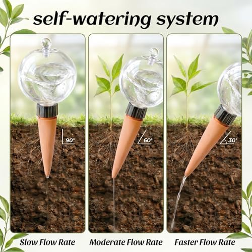 4 Pack 26 oz Extra Large Plant Self Watering Globes to 3 Weeks Watering - Image 6