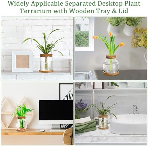 6 Pcs Glass Plant Propagation Station with Wood Lid & Stand, Classic Style - Image 6