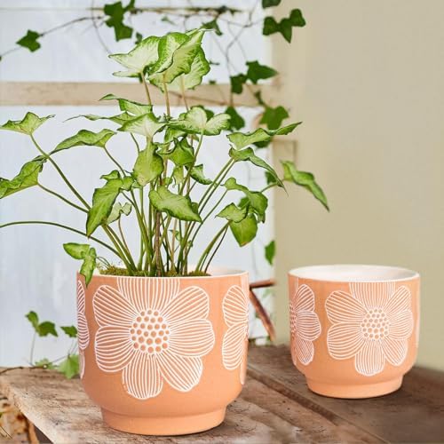 Ceramic Plant Pots, 8+6 Inch, 2 Pcs Indoor Planters with Drainage Holes - Image 2