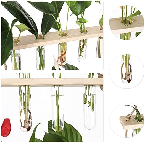 YIBOT Plant Propagation Stations with Wooden Stand 15 Glass Test Tubes Vase - Image 4