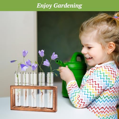 Tigvio 2pcs Desktop Glass Plant Propagation Station (10 Tubes) - Image 6
