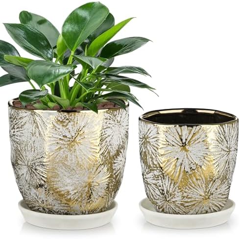 Oairse 6 +5 inch Ceramic Planter Pots Set of 2 Small Round Flower Pots with Drainage Hole and Ceramic Tray for Succulents Cactus Indoor Outdoor Garden Home Windowsill by Oairse