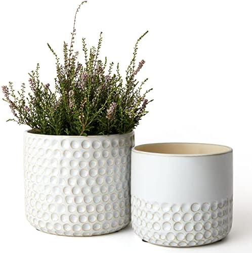 LA Jolie Muse Ceramic Plant Pots, Flower Pots for Indoor Plants, Set of 2 by LaJol%C3%ADeMuse