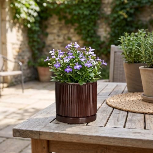 Succulent Pots 4 Inch, Ceramic Plant Pots, Round Planter, Brown - Image 7