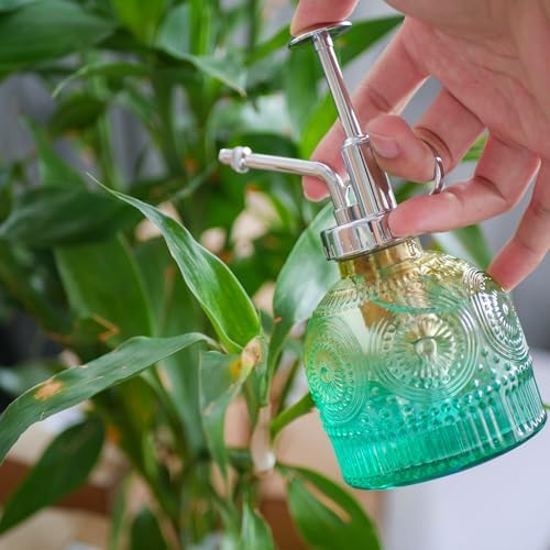 2 Pieces Glass Plant Mister Spray Bottle for Indoor Plant Spritzer Succulent Watering Bottle - Gradual Green - Image 2