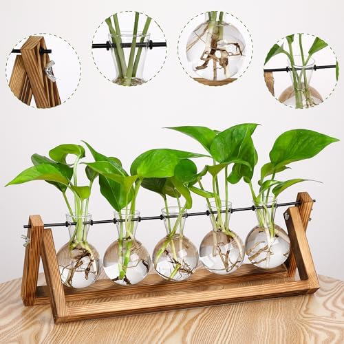 YIBOT Plant Propagation Stations with Wooden Stand & 5 Glass Bulb Vases - Image 3