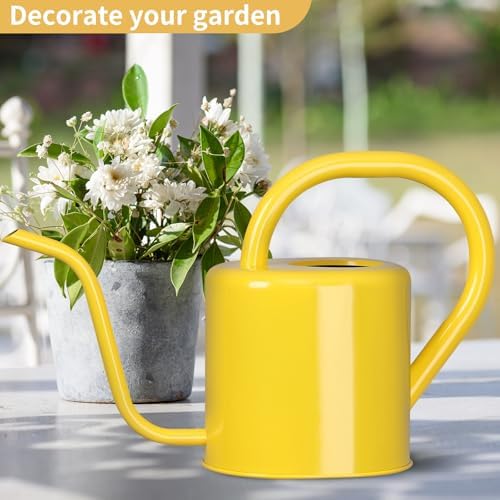 Watering Can, Stainless Steel Watering Can for Indoor & Outdoor Plants, 1L/35oz Long Spout Water Can with Handle, Rust-Proof Plant Watering Pot for House Plants, Garden Flowers - Image 4