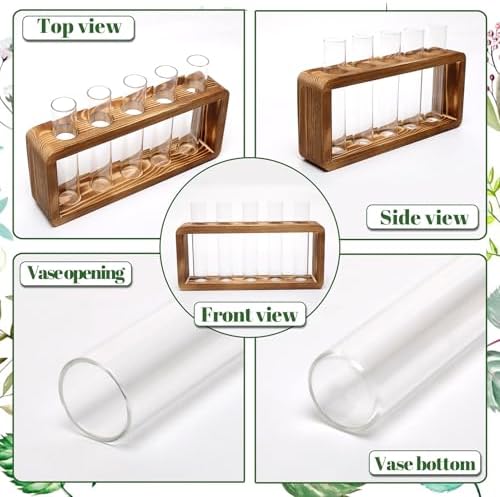 Glass Plant Propagation Station with 5 Test Tubes Colorful Planter Vase - Image 3