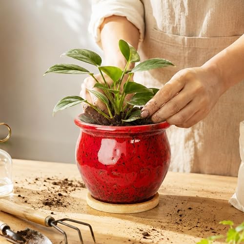 4.5 Inch Plant Pots with Drainage, Small Ceramic Pots for Indoor Plants - Image 7