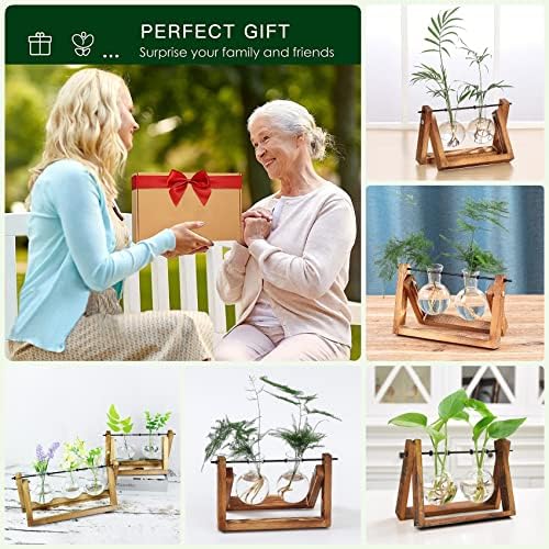 Kingbuy Glass Desktop Planter with Retro Wooden Stand, 2 Bulbs - Image 3