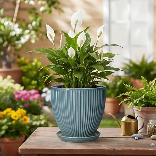 6 Inch Plant Pot Indoor, Ceramic Pots for Snake Succulent Plants, Decorative Round Flower Pots with Drainage Hole and Saucer, Modern Planter, Bookshelf Decor, Gifts for Men Women, Glaze Blue - Image 4
