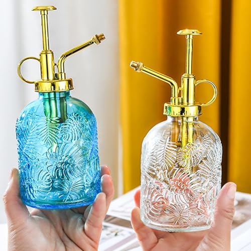 Spray Bottle for Plants, Plant Mister Spray Bottle, Glass Plant Mister Spray Bottle, Embossed Vintage Glass Watering Can, Succulent Watering Bottle with Top Pump for Outdoor (SS) - Image 7
