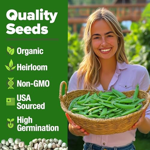 HOME GROWN Organic Cascadia Snap Pea Seeds, 100+ Seeds, Pisum sativum - Image 2