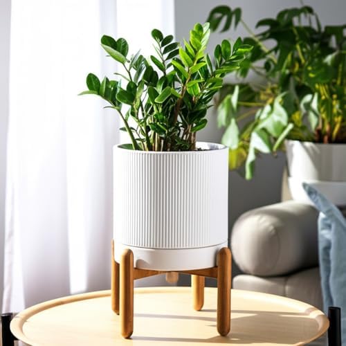 HERDUK 8 Inch Ceramic Planter with Natural Wood Stand w/Drainage & Saucer - Modern Indoor Planter for Cacti, Snake Plants & Aloe Vera - Image 4