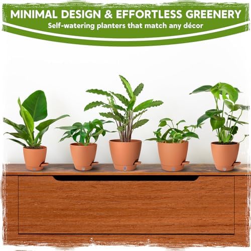 Self Watering Pots for Indoor Plants (5/5.5/6/6.5/8 Inch), Terra Cotta Planters with Water Level Indicator & Drainage,Wicking Pots for Monstera, Herbs & Snake Plant (Terra Cotta, 5/5.5/6/6.5/8 Inch) - Image 5