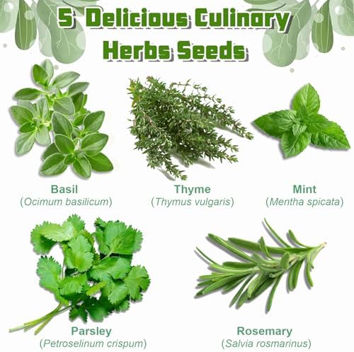 Indoor Herb Garden Starter Kit, Including A Complete Gardening Tools for Women Parents Gift - Image 3