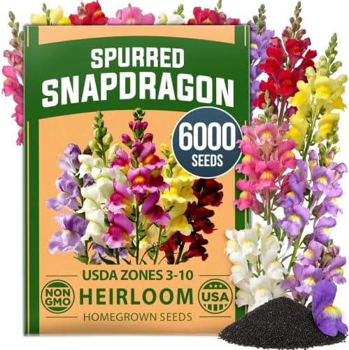 HOME GROWN Fairy & Northern Lights 6000 Snapdragon Seeds Linaria maroccana by HOMEGROWN