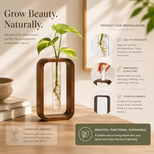Modern Wooden Frame Glass Vase Hydroponic Planter – Minimalist Square Propagation Station with Test Tube Vase – Indoor Plant Terrarium for Flower, Cuttings & Home Office Decor - Image 4