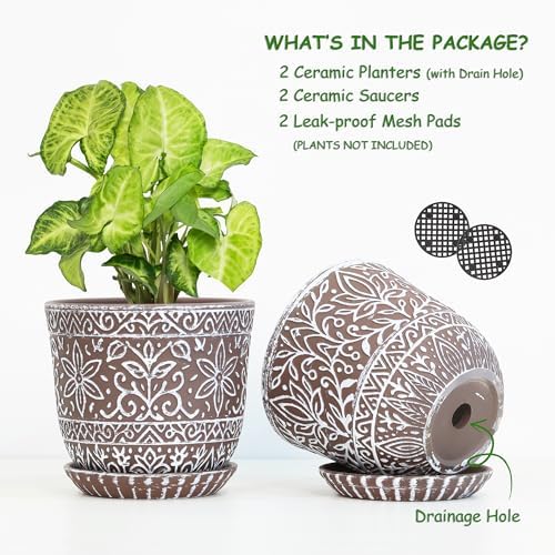 Gepege Ceramic Plant Pots, 6 Inch Indoor Planters with Drainage & Saucers - Image 2