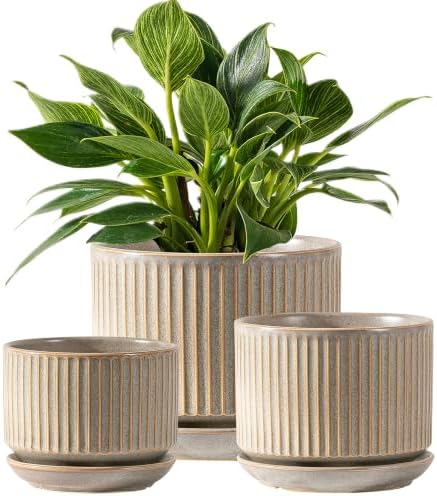 SURE YUESI Ceramic Plant Pots Set of 3, Indoor Outdoor Planters with Drainage Hole and Saucer, Ceramic Flower Pots for Indoor Plants, 4.3+5.5+6.8 Inch, Home, Garden, Patio and Office, Matte Grey by SUREYUESI