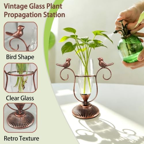 Hydroponic Plant Vases, Plant Terrarium, Plant Propagation Station Metal Vintage Style Desktop Decor Gifts for Plant Lovers (Copper Bird, 8.26"×7.9") - Image 4