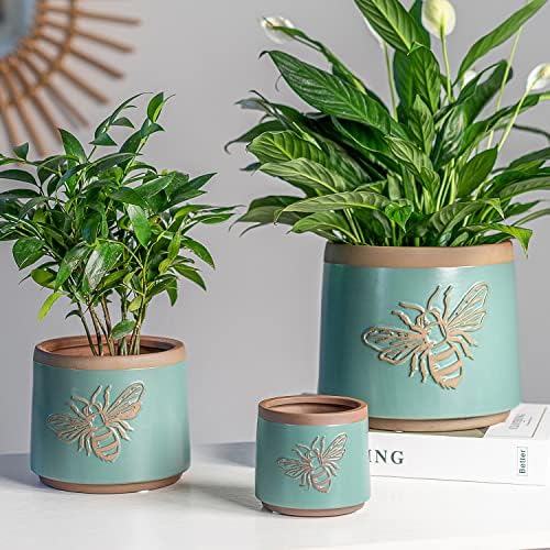 Terracotta Pots, 8+6+4 Inch Plant Pots, 3 Pcs with Drainage Holes - Image 6