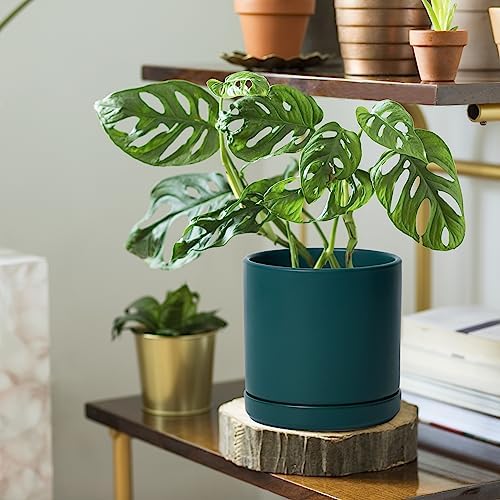 D'vine Dev 6 Inch Ceramic Planter Pot, Teal, 94-O-C-9 - Image 6