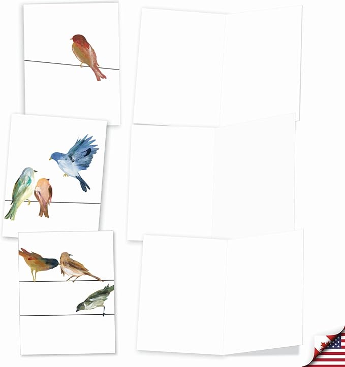 The Best Card Company - 10 Bird Note Cards Blank (4 x 5.12 Inch) - All Occasion Cards with Envelopes, Boxed Set - High Wire Birds M3318