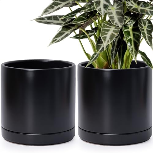 D'vine Dev 2-Pack Ceramic Pots with Saucers, Black, 10 in, 94-V-E-2 by DvineDevPlanterPotsandStand