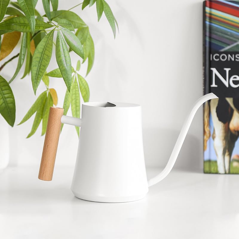 Small Watering Can Indoor Plants Metal Watering Cans 1L/34oz (White) - Image 2