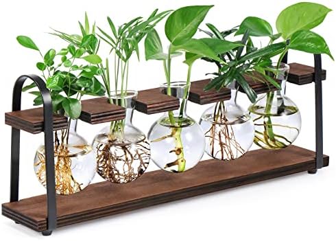5-Bulb Plant Propagation Station, Glass Vase Terrarium, Wood Metal Stand by THYGIFTREE