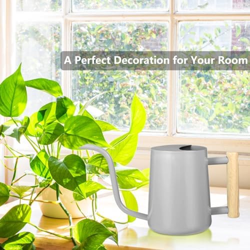 Watering Can Indoor Plants, 35oz Small Indoor Stainless Steel Metal Watering Can Modern Decorative Watering Pot with Long Spout for Indoor House Plant Bonsai Garden Flowers (Gray) - Image 3