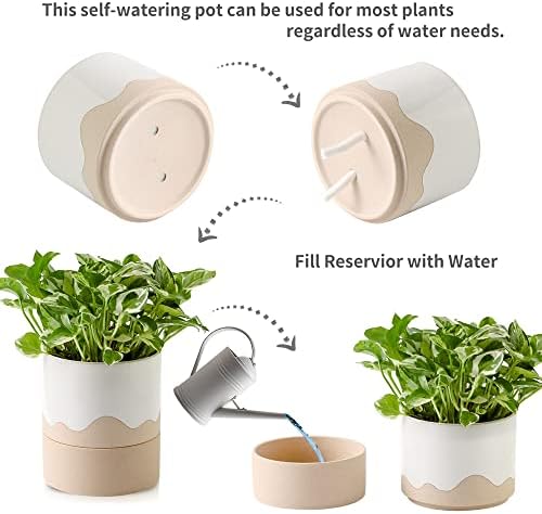 Nihow Ceramic Self Watering Plant Pot for Indoor Plants, 6 Inch,Cream White - Image 3