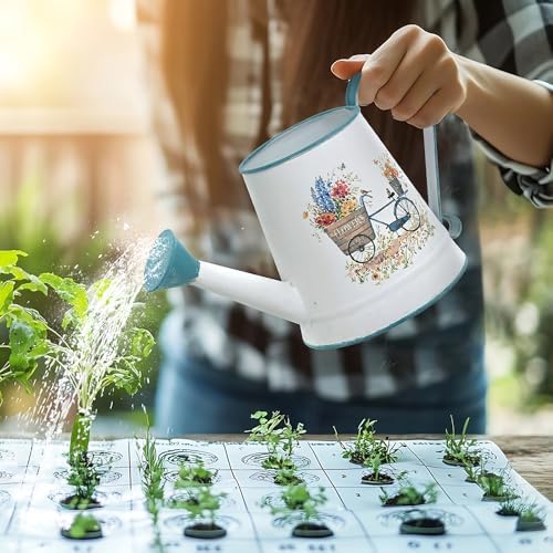 Small Metal Watering Can for Indoor & Outdoor Plants Garden Decor - Image 6