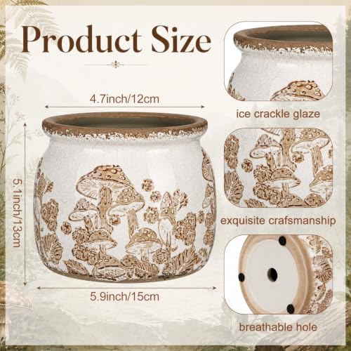 Vintage Planter for Indoor Plants, Ceramic Pot with Drainage Hole - Image 2