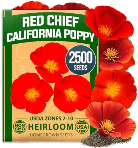 HOME GROWN Red Chief California Poppy Seeds, 2500 Eschscholzia californica by HOMEGROWN