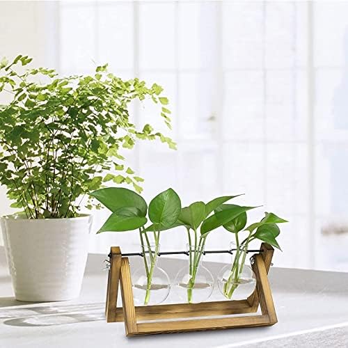 Kingbuy Desktop Glass Planter Iron and Wooden Stand Plant Terrariums for Indoor Office Desk Decor Accessories, 3 Bulb Vases, Brown - Image 5