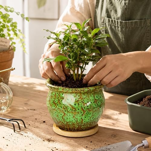4.5 Inch Plant Pots, Small Pots for Plant Indoor, Succulent Pots with Tray - Image 7