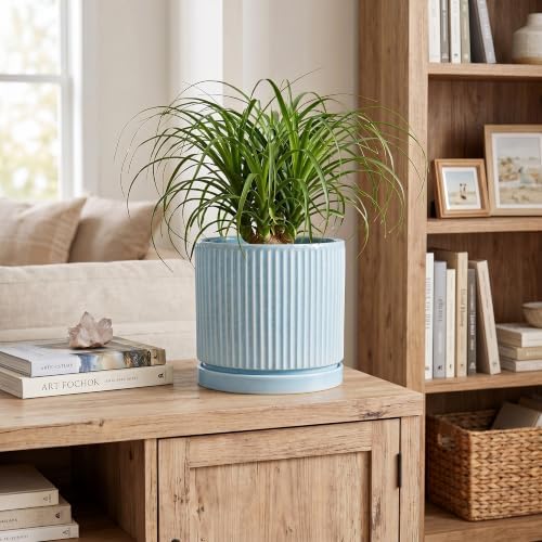 Ceramic Planter, 8 Inch Flower Pots, Round Plant Pot, Light Blue - Image 3