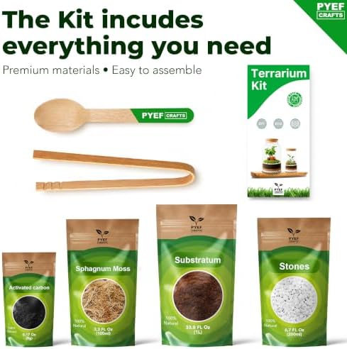 Terrarium Kit, Succulents & Indoor Plants Set DIY - Image 4