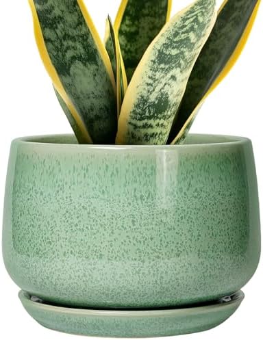 G EPGardening Ceramic Plant Pot - 7 Inch Ceramic Planter for Indoor Outdoor Plants, Flower Pot with Drainage Hole and Tray, Modern Round Planter, Plants Lovers Gifts, Home Garden Decor, Green by GEPGardening