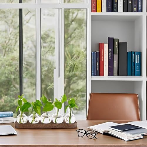 Mkono Plant Propagation Station, Desktop Glass 5 Bulb Vase Brown Wood Tray - Image 3
