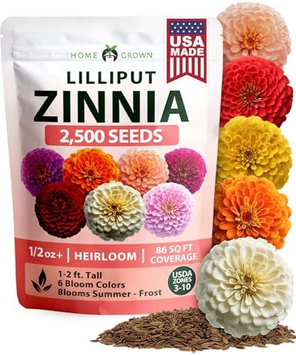 HOME GROWN Zinnia Seeds, Lilliput Mix, 2,500 Seeds, Zinnia elegans by HOMEGROWN