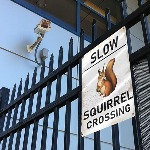 Slow Squirrel Crossing Vintage Tin Sign,Vintage Farm Decor Squirrel Warning Tin Poster Street Decor Signs for Home Garden Yard Bar Pub Outdoor Man Cave Decor 8 X 12 Inch - Image 5