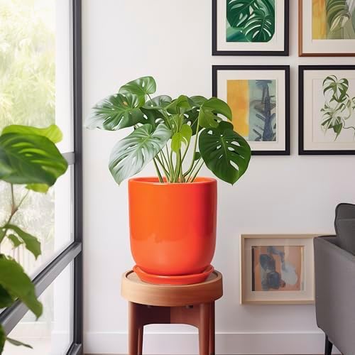 Indoor Planter 10 Inch - Ceramic Plant Pot with Drainage Hole and Saucer, Modern Decorative Round Planter for Indoor Outdoor Plants, Housewarming Gifts, Home Garden Office Decor, Orange - Image 5