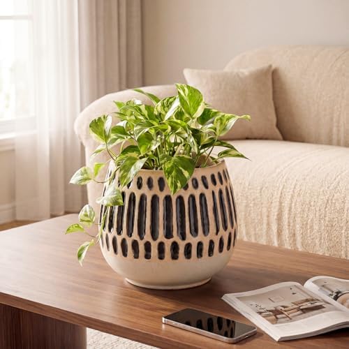 Ceramic Planter 5 Inch Succulent Flower Pot with Blue Stripe - Image 2