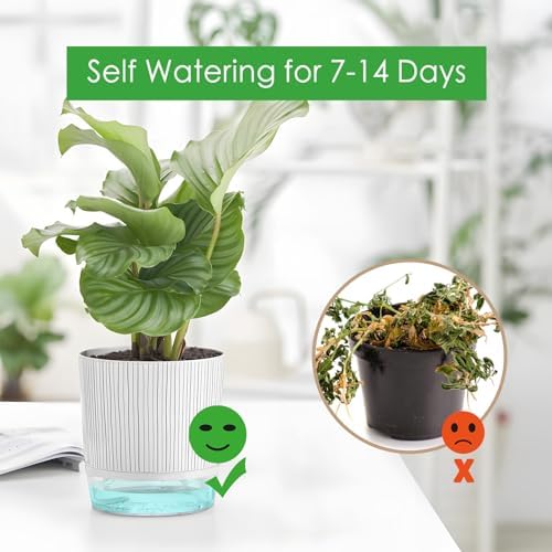 4 Pack Self Watering Pots, 4/5.5 Inch Self Watering Pots for Indoor Plants - Image 4