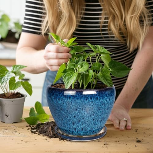 Ceramicfor 8 Inch Ceramic Plant Pot, Ceramic Planter Pot for Indoor Outdoor Plants, Round Flower Pot with Drainage Hole and Saucer, Blue - Image 5